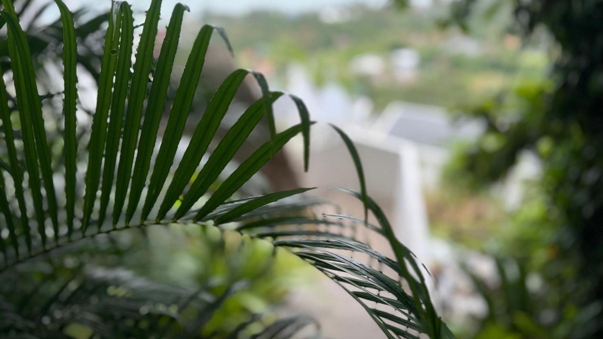 Anzhu Seamate Villa Samui Amphoe Koksamui Exteriér fotografie